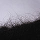 Варежки-трансформеры мужские из собачьей шерсти Black. Варежки. Warm Yarn. Ярмарка Мастеров.  Фото №6