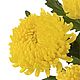 Букет учителю "Сентябрь" Цветы в школу. Букеты. DARK FLORIST Флористика Декор ЦВЕТЫ. Ярмарка Мастеров.  Фото №5