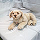 Labrador puppy. Stuffed Toys. Dilara. My Livemaster. Фото №6