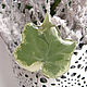 Brooch Needle Ivy Leaf Real Leaf Resin Jewelry Boho Brooch. Stick pin. WonderLand. My Livemaster. Фото №6