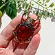 Order Scarab beetle Brooch amber souvenir talisman amulet gift for the woman mA. BalticAmberJewelryRu Tatyana. Livemaster. . Brooches Фото №3