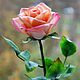 Кремовая роза из полимерной глины, Цветы, Санкт-Петербург,  Фото №1