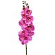 39 artificial Orchid REAL TOUCH PHALAENOPSIS SPRAY. Plants. best-coll-mos. Online shopping on My Livemaster.  Фото №2