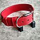 Order Personalized dog collar made of genuine leather, leather collar. AshotCraft. Livemaster. . Dog - Collars Фото №3