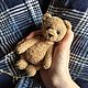 Bear, Stuffed Toys, Pechora,  Фото №1