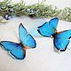 Order Transparent Earrings Bright Blue Turquoise Fluttering Butterflies Resin. WonderLand. Livemaster. . Earrings Фото №3