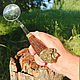 Spoon skimmer handle wenge tree, the head of the beast 'Lion'. Spoons. The Gift Oasis. My Livemaster. Фото №14