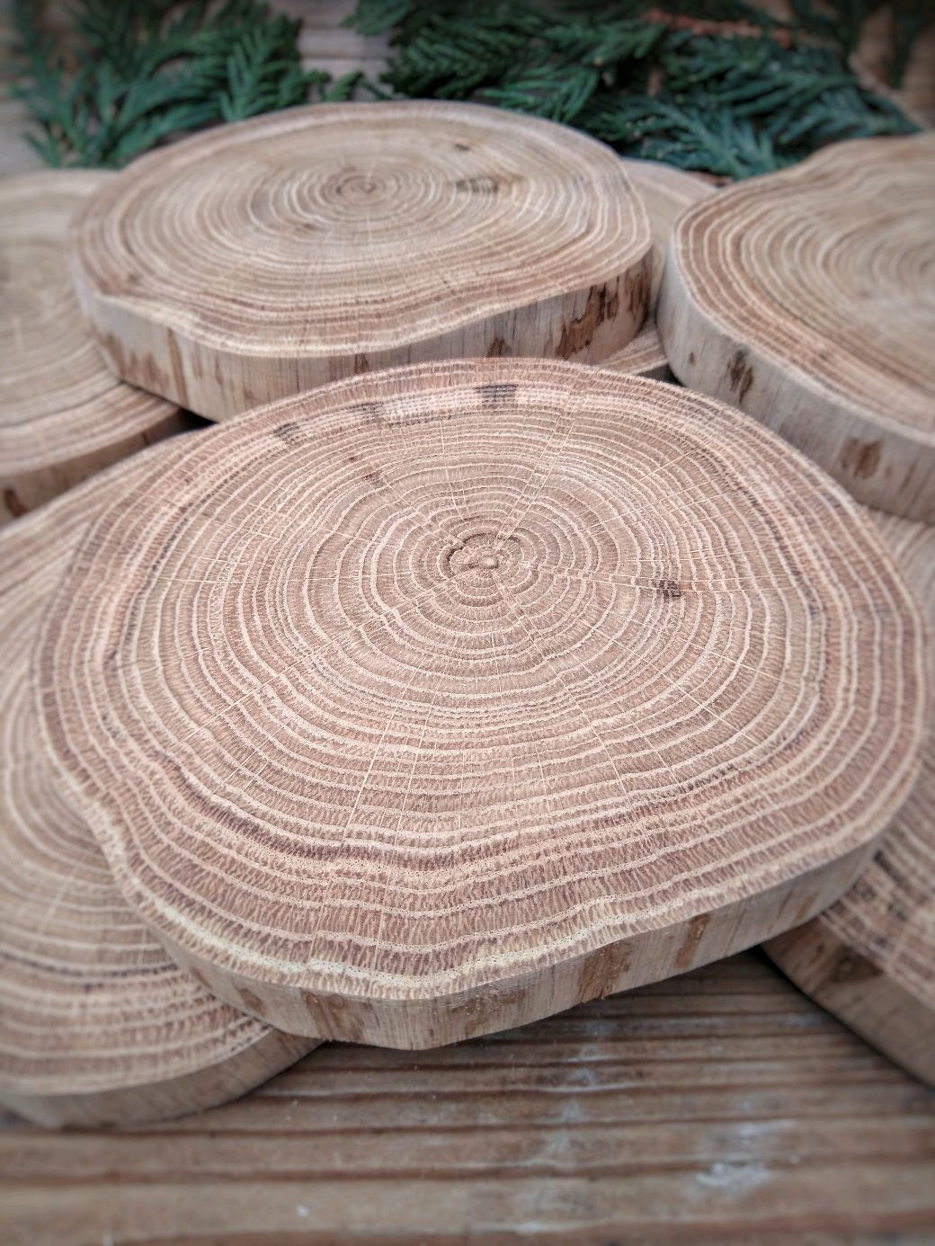 Спилы дуба без коры . Размер около 12 х 10 см – купить на Ярмарке ...