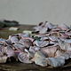 Watch classic: Pink hydrangea. Watch. beautifulcrafts. My Livemaster. Фото №5