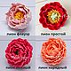 Silicone Peony Shape Is Simple, Elegant, Delicate, Flower, Form, Moscow,  Фото №1