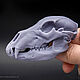 Bear skull, model, sculpture, movable jaw. Figurines. VoronFab Sculpture workshop. Online shopping on My Livemaster.  Фото №2