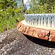 Cedar Sadhu Board with Iron nails, 10 mm, for beginners, Yoga Products, Pskov,  Фото №1