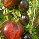 Сортовой томат Гаргамель. Семена, саженцы. Вкусные овощи. Интернет-магазин Ярмарка Мастеров.  Фото №2