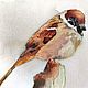 Order Watercolor on canvas Sparrow (brown gray white). Pastelena. Livemaster. . Pictures Фото №3