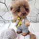 Teddy Animals: Lyosha the lion cub. Teddy Toys. Toys by Onik. Online shopping on My Livemaster.  Фото №2