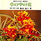 «Цветы среди трав», Иида Томоко, Книги, Новосибирск,  Фото №1