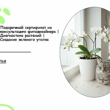 Материалы для творчества ручной работы. Ярмарка Мастеров - ручная работа Подарочный сертификат на консультацию фитодизайнера. Handmade.
