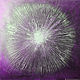 Order The painting 'the Star' (dandelion). 'ZOLOTAYa PALITRA' hudozhnik A. Shirshov (shirshovart). Livemaster. . Pictures Фото №3