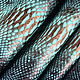 Python skin, hide, width 30-34 cm IMP2003A23, Leather, Moscow,  Фото №1