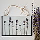 Herbarium lavender, Suspension, Zelenograd,  Фото №1