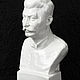 Бюст из гипса Сталин (белый). Скульптуры. Дом ремёсел. Интернет-магазин Ярмарка Мастеров.  Фото №2