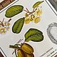 Винтаж: Панно плитка Botanica 3 шт. на ленте 73 см. Предметы интерьера винтажные. сКЛАДъ 2. Ярмарка Мастеров.  Фото №5