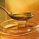 Мёд с чагой 500 мл натуральный, Мёд натуральный, Чемал,  Фото №1