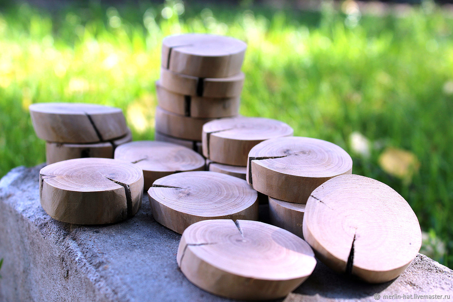 Спил дикой вишни. Спил вишни. Из спилов вишни. Круглый спил дерева. Спил черешни.