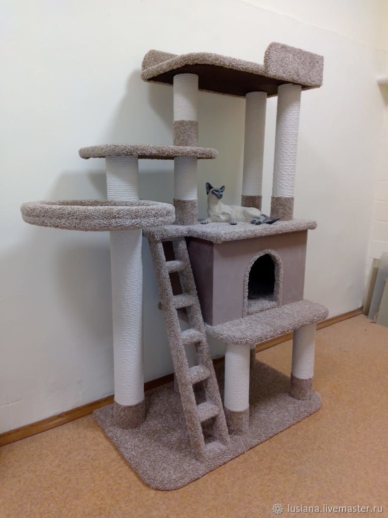 Cat house hot sale online shopping