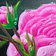 Большая картина маслом в раме, натюрморт: Роза с капельками воды 50х60. Картины. AverPainting. Ярмарка Мастеров.  Фото №5
