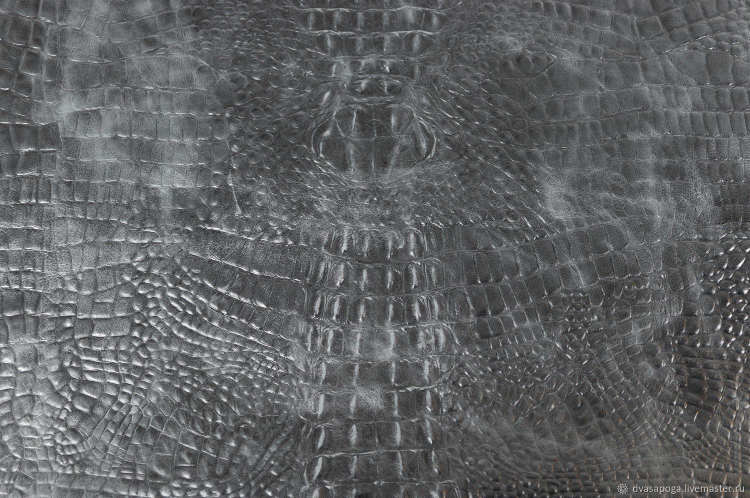 Серый крокодил кожа