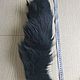 Arctic Fox tail black 53cm large / natural fur. Fur. Warm gift. Online shopping on My Livemaster.  Фото №2