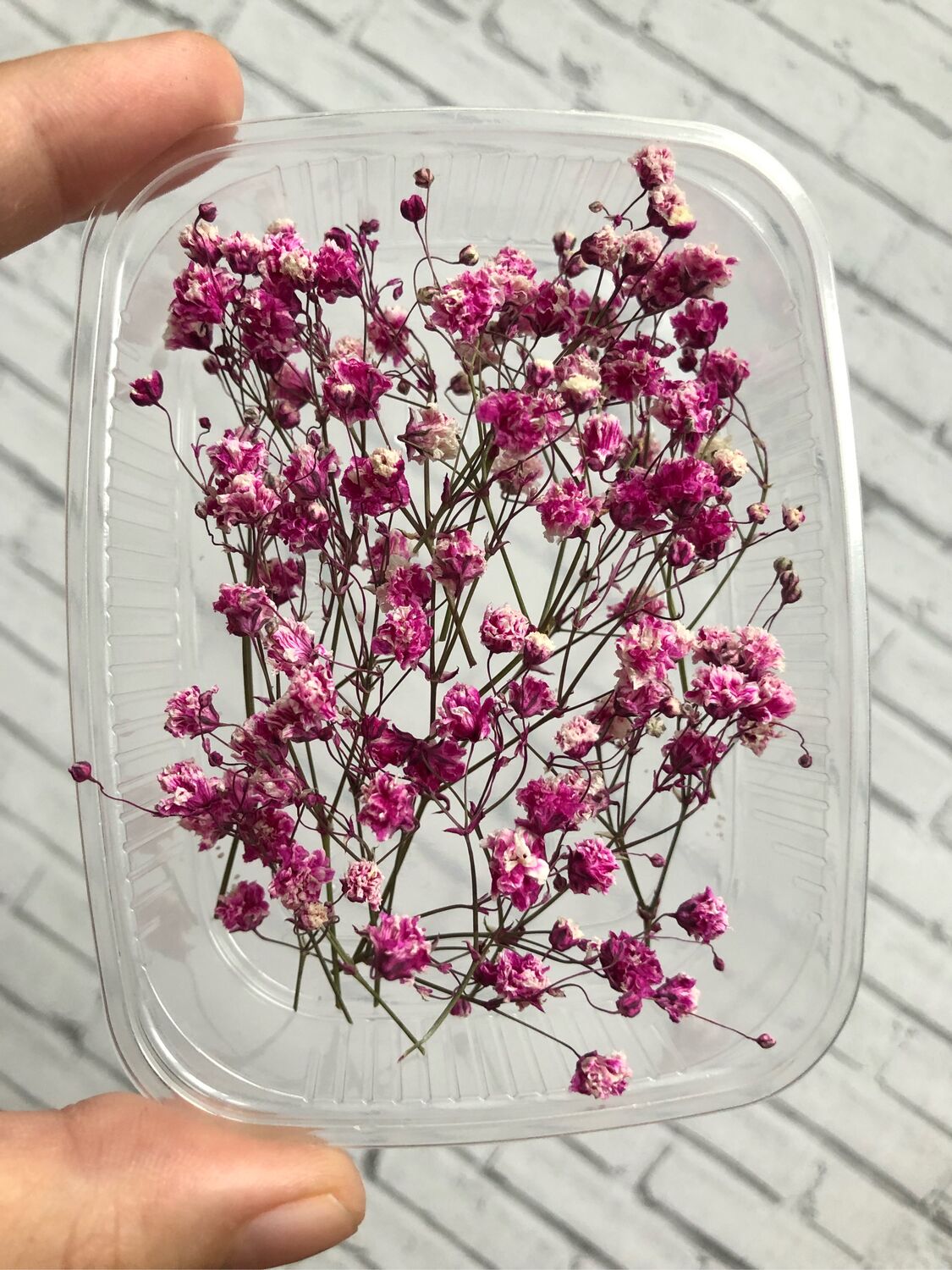 Гипсофила крашеная (2022) Сухоцветы – купить на Ярмарке Мастеров ...