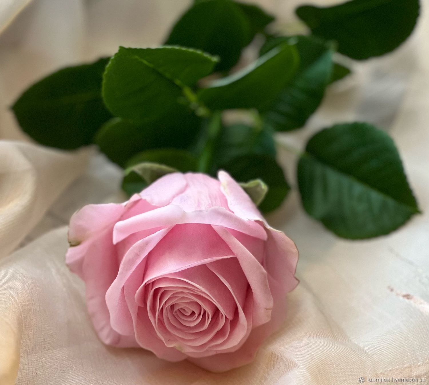 Как сделать розу из полимерной глины?
