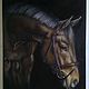 Painting Portrait of a horse 50*60 cm. Pictures. Ermolaeva Olesya. Online shopping on My Livemaster.  Фото №2