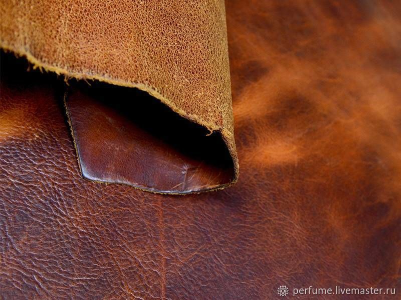 Виды натуральной кожи для курток