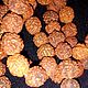 Rudraksha is the fruit the Indian nut, Beads1, Dolgoprudny,  Фото №1