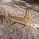Pointer Swordfish. Line. Galib. My Livemaster. Фото №4