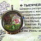 Fairy house in a locket. Pendants. WhiteRacoon's handcrafts. My Livemaster. Фото №6