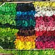 Colored decorative moss (1 kg) from the manufacturer, Kitchen, Belgorod,  Фото №1