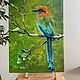 Экзотические птицы. Motmot. 30*40 см, Картины, Москва,  Фото №1