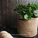 Planters / basket / flower pot, diameter 20, height 17. Basket. Natalya_Sholokhova. My Livemaster. Фото №5