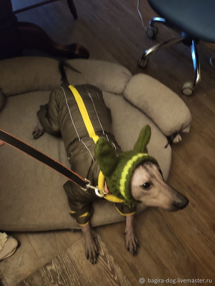 Hat with ears for xolo \