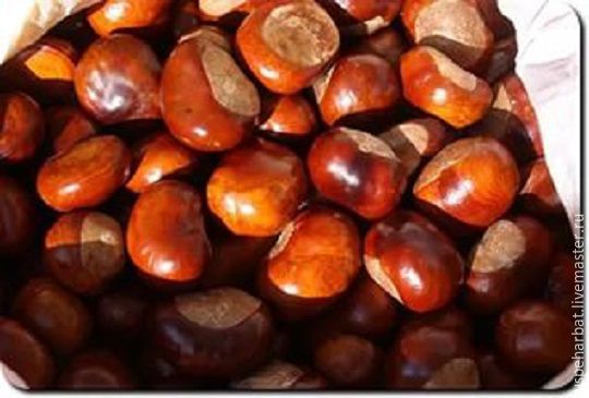 Каштан купить в интернет-магазине Ярмарка Мастеров по цене 3 ₽ – ADVNFRU, Природные материалы, Моршанск - доставка по России