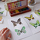  Butterflies watercolor work collectible, Pictures, Krasnodar,  Фото №1