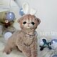 Soft toys: Kitten Zainka. Stuffed Toys. KravetsTatyana. My Livemaster. Фото №6