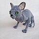 Вязаный кот Сфинкс. Амигуруми куклы и игрушки. Дарья (kirakinder). Ярмарка Мастеров.  Фото №13