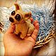 Chihuahua, Stuffed Toys, Moscow,  Фото №1