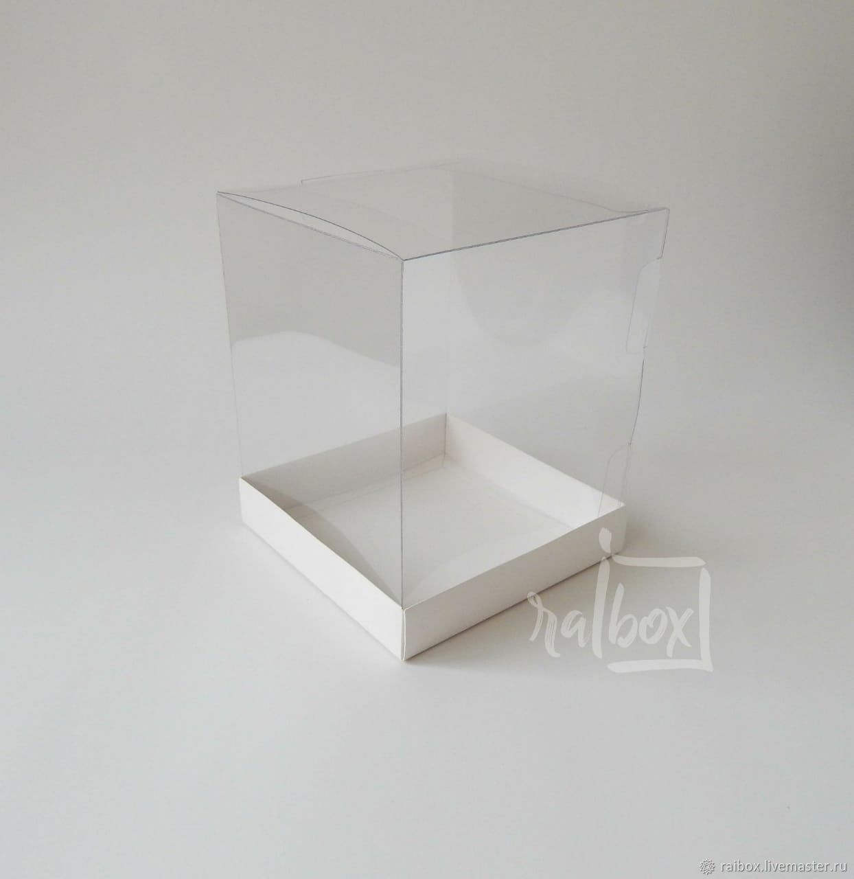 Коробка с прозрачной крышкой 140 х 105 х 25 мм