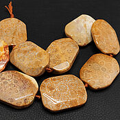 Материалы для творчества handmade. Livemaster - original item Coral Beads Fossil fossilized 40h30mm. Handmade.
